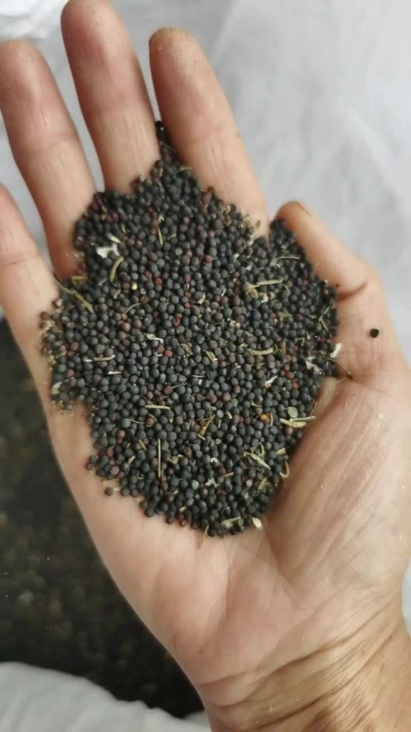 菜籽打菜籽油的。正宗菜籽，要了还把渣滓除了调。刚刚收购