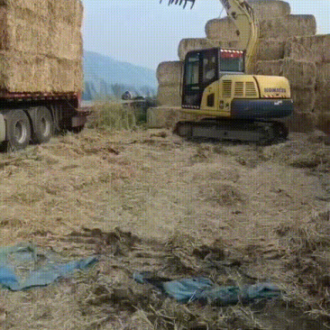 2024年小麦秸秆一次成型大方捆安徽亳州上车