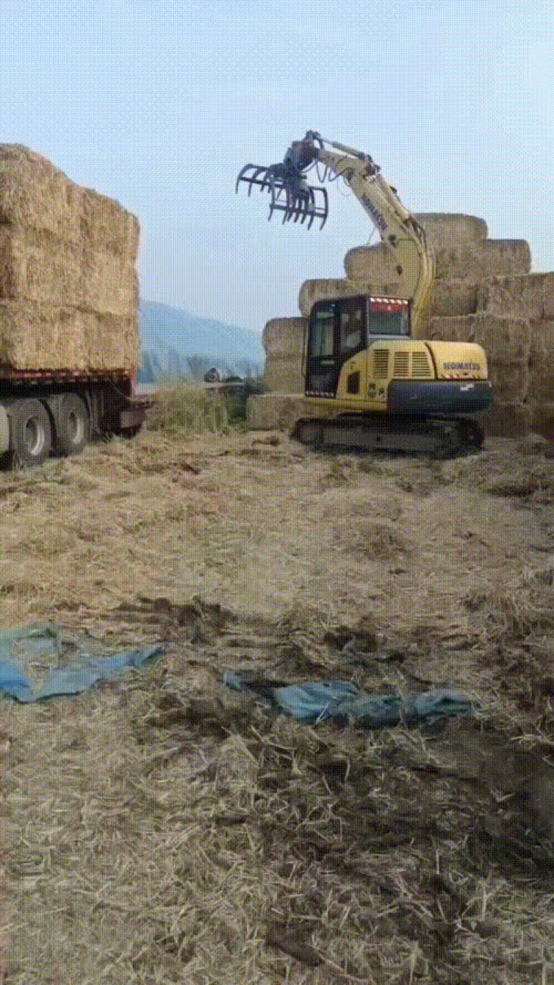 2024年小麦秸秆一次成型大方捆安徽亳州上车