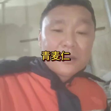 青麦仁