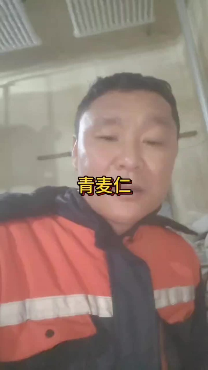 青麦仁