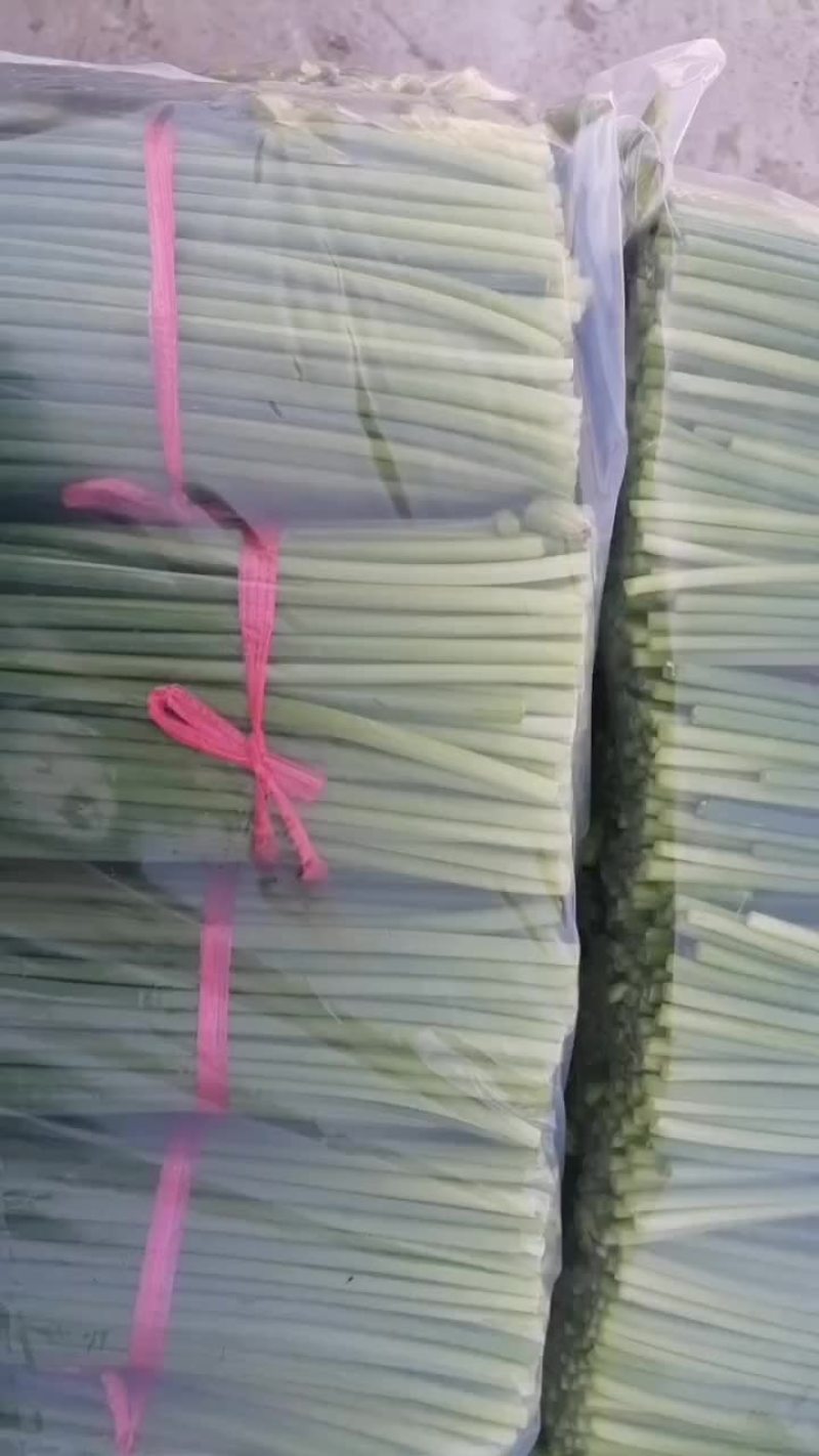 韮苔