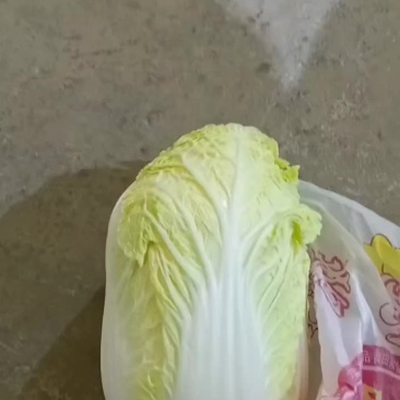 甘肃张掖精包装大娃娃菜大量上市中。