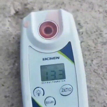 精品甘美4K大量上市欢迎全国各大商超对接，产地直发一手货源