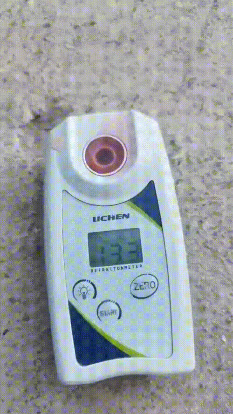 精品甘美4K大量上市欢迎全国各大商超对接，产地直发一手货源