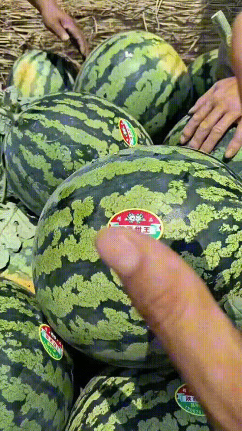 甜王