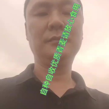 青麦仁