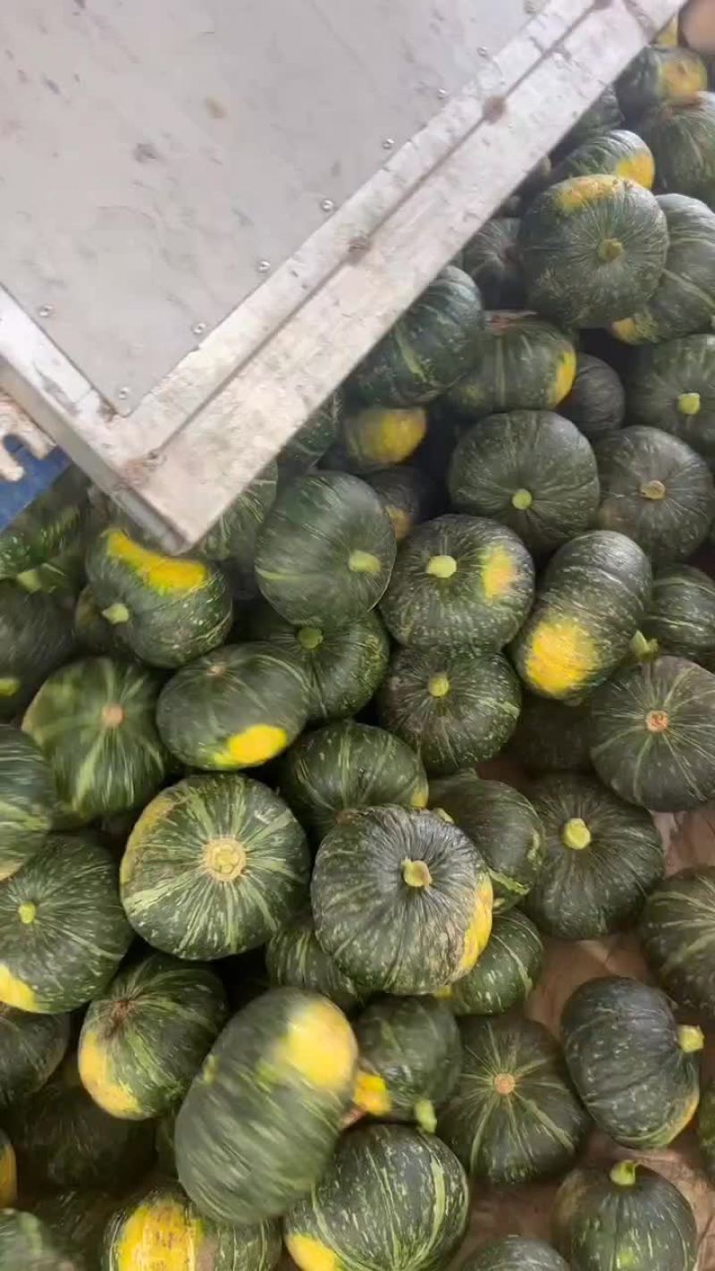 大荔板栗南瓜，面甜糯，口感适中，深受各界群众喜爱