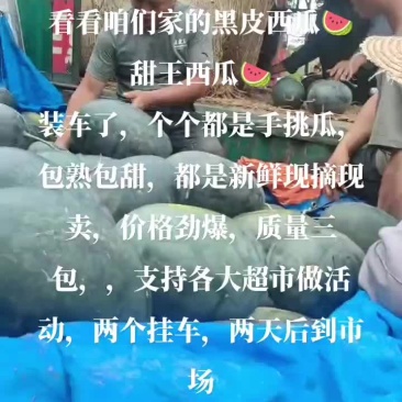 黑皮西瓜