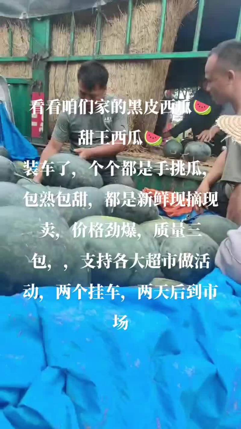 黑皮西瓜