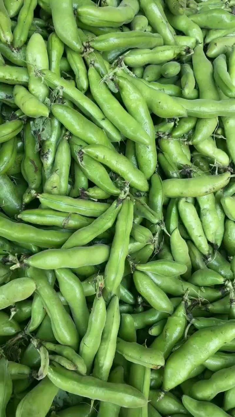 清蚕豆