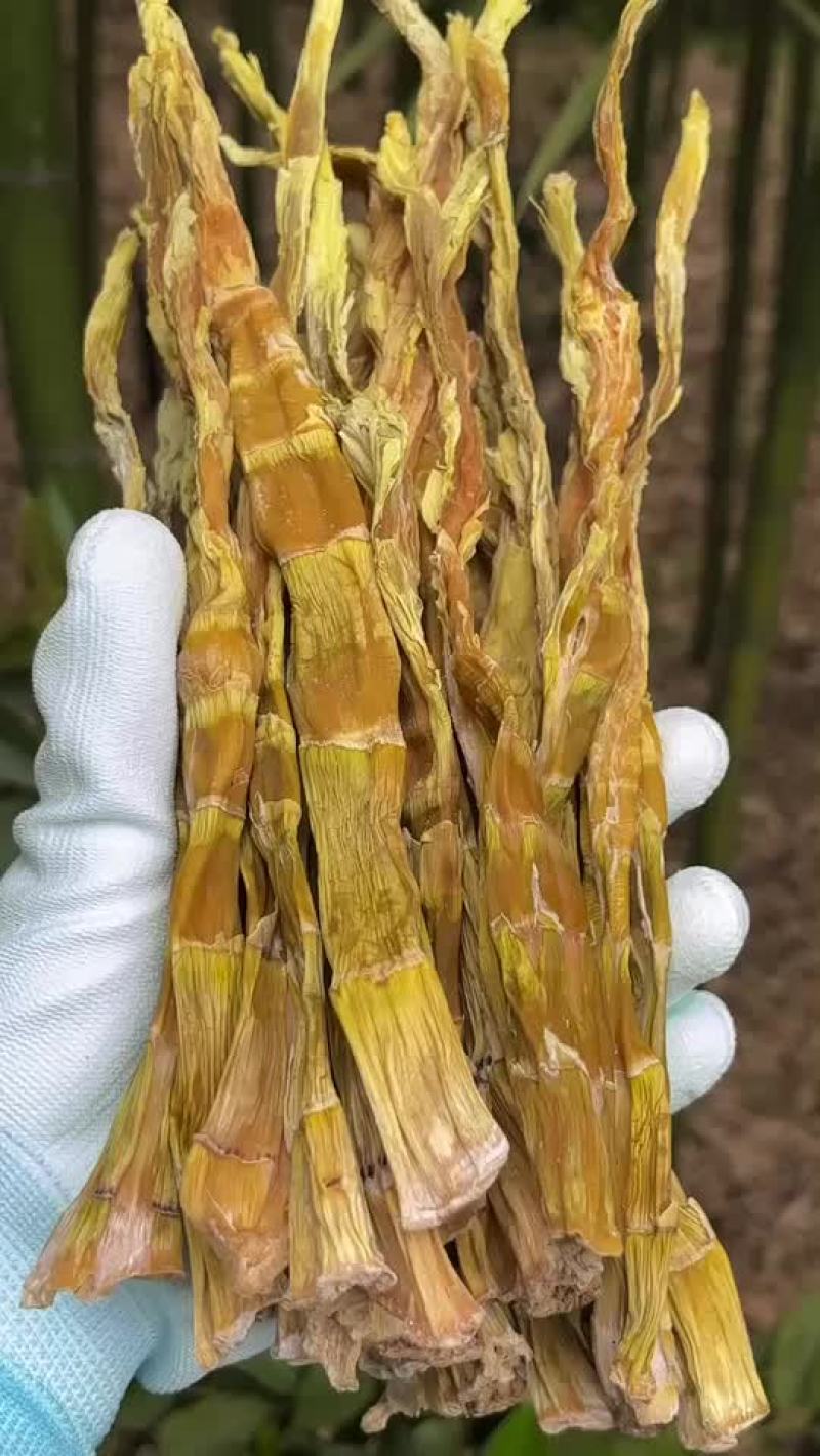 高山精品野笋干杭州基地直供货源充足质量保证欢迎订购