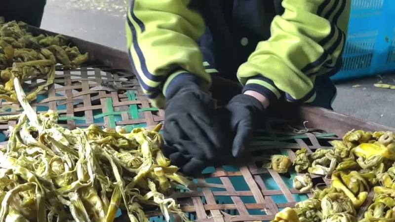 高山精品野笋干杭州基地直供货源充足质量保证欢迎订购