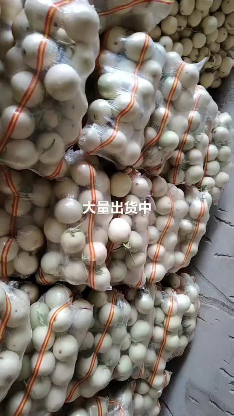 甜瓜