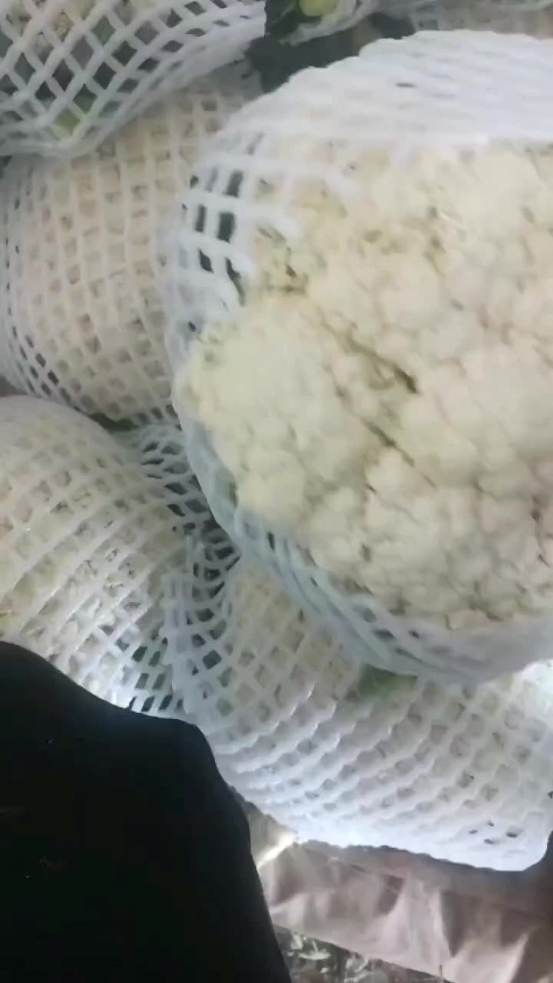 有机菜花，各种品质有货，量大价优