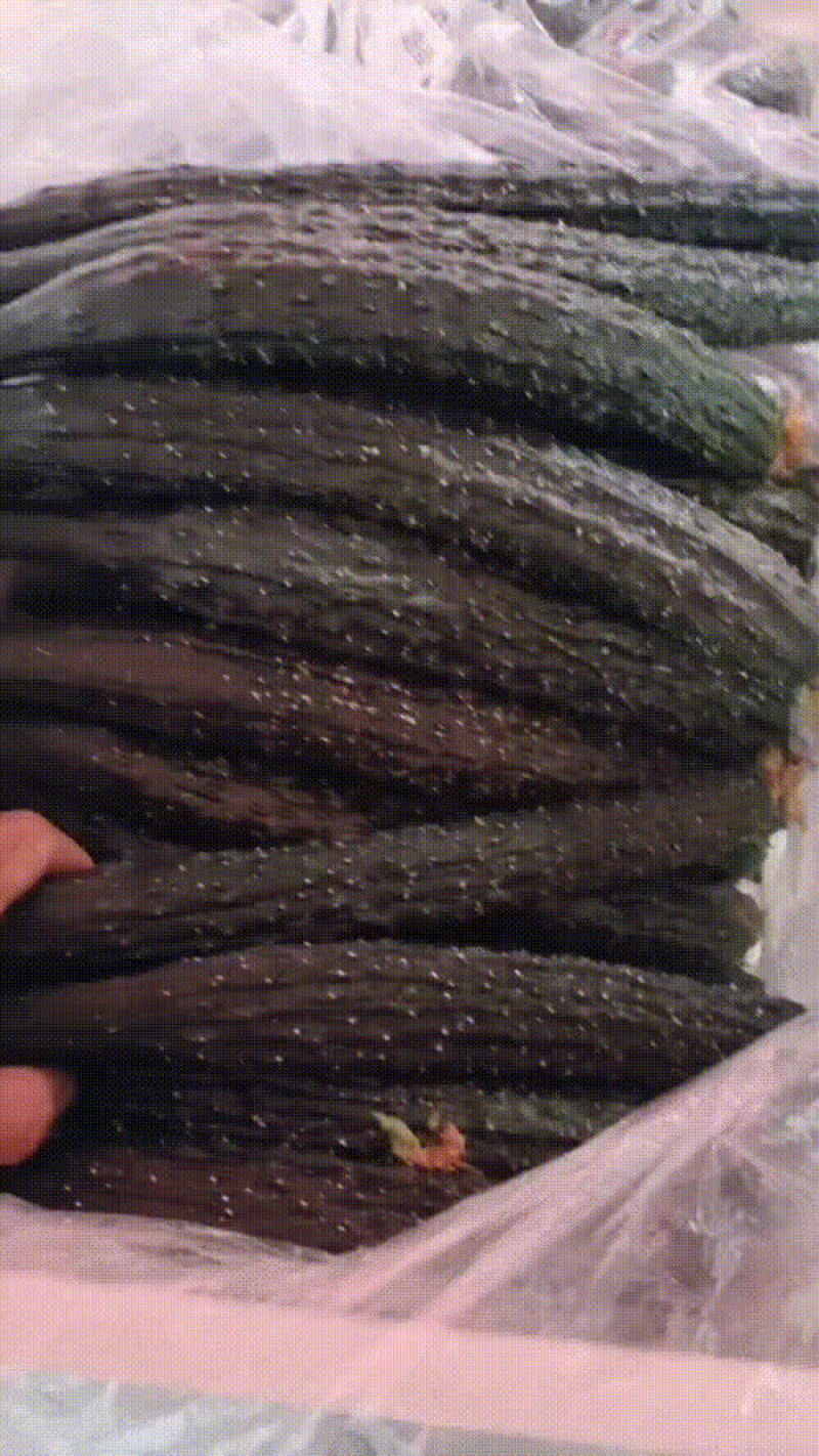 干花，鲜花黄瓜，产地直发