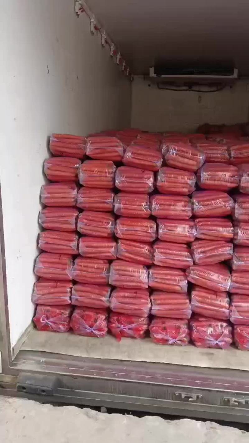 红萝卜，精品红萝卜中粗，品质精良，供应各种市场，满足客户