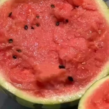 8424