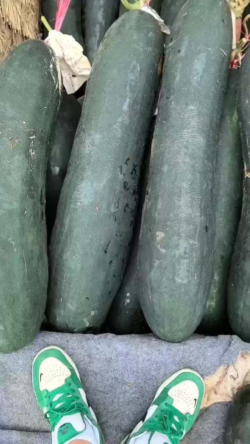 黑皮冬瓜