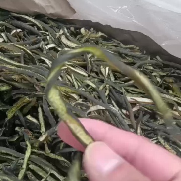 海茸干！质量高！细条