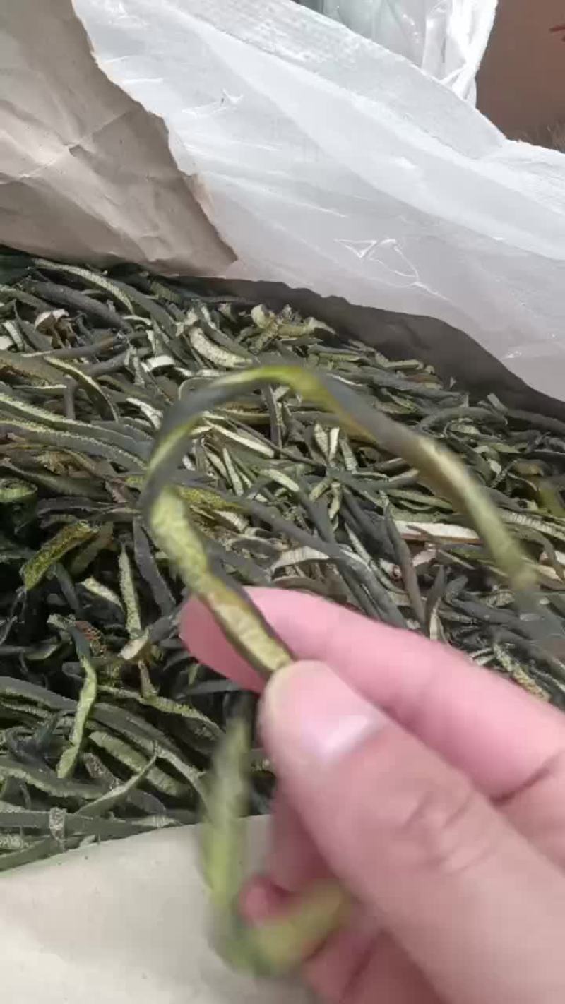 海茸干！质量高！细条