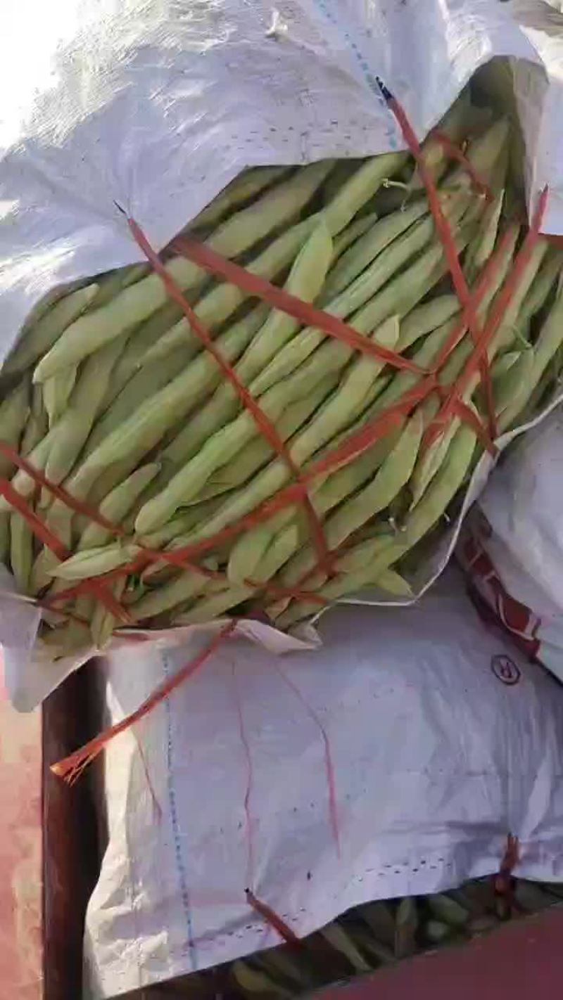 季豆大量上市需要联系