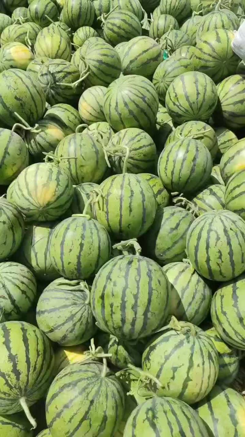美都，