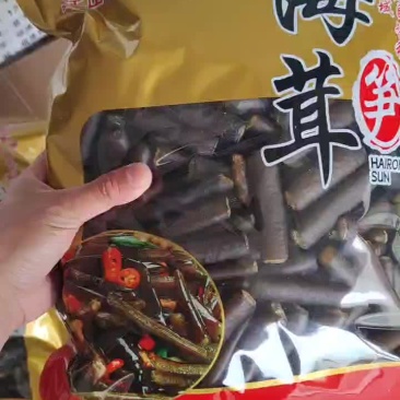 精品海笋