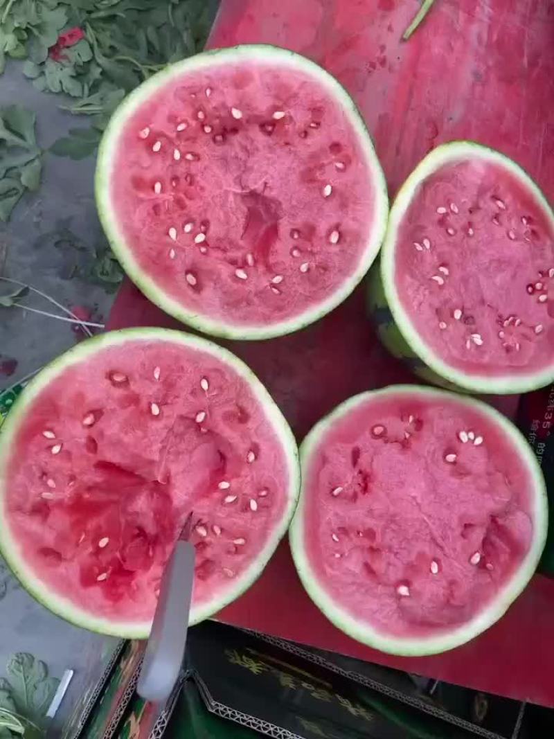 美都麒麟西瓜西瓜