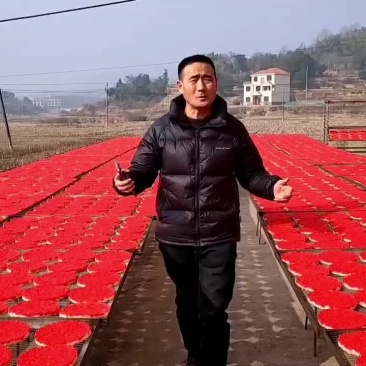 武冈特产正宗扶冲曾氏米花