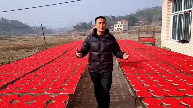 武冈特产正宗扶冲曾氏米花