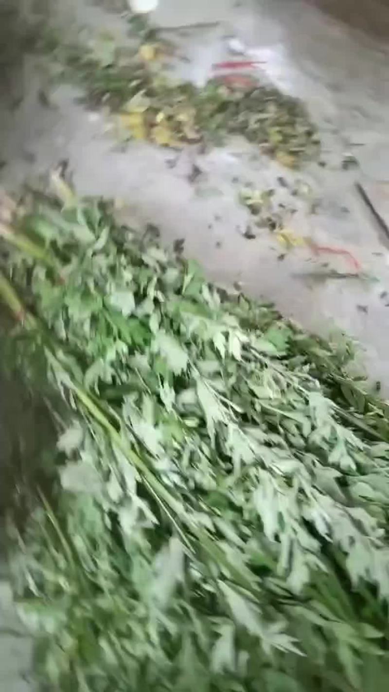 支持上门看货