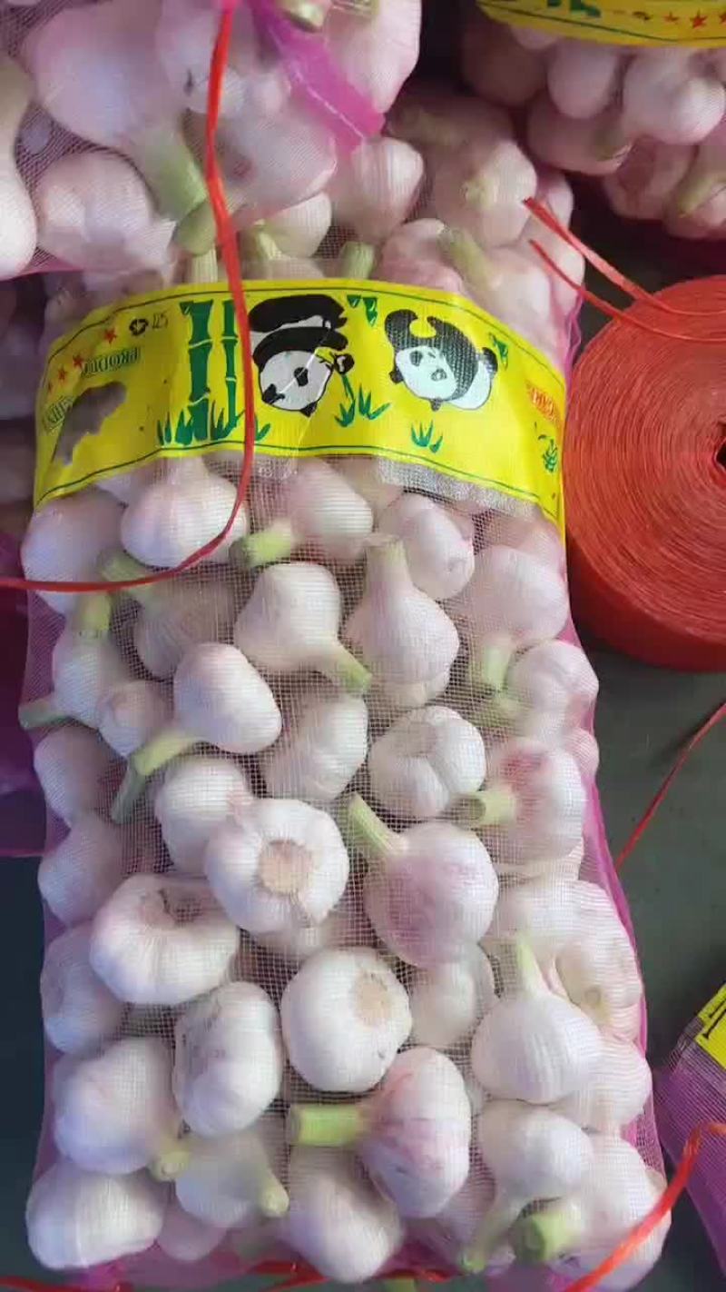 江苏大蒜