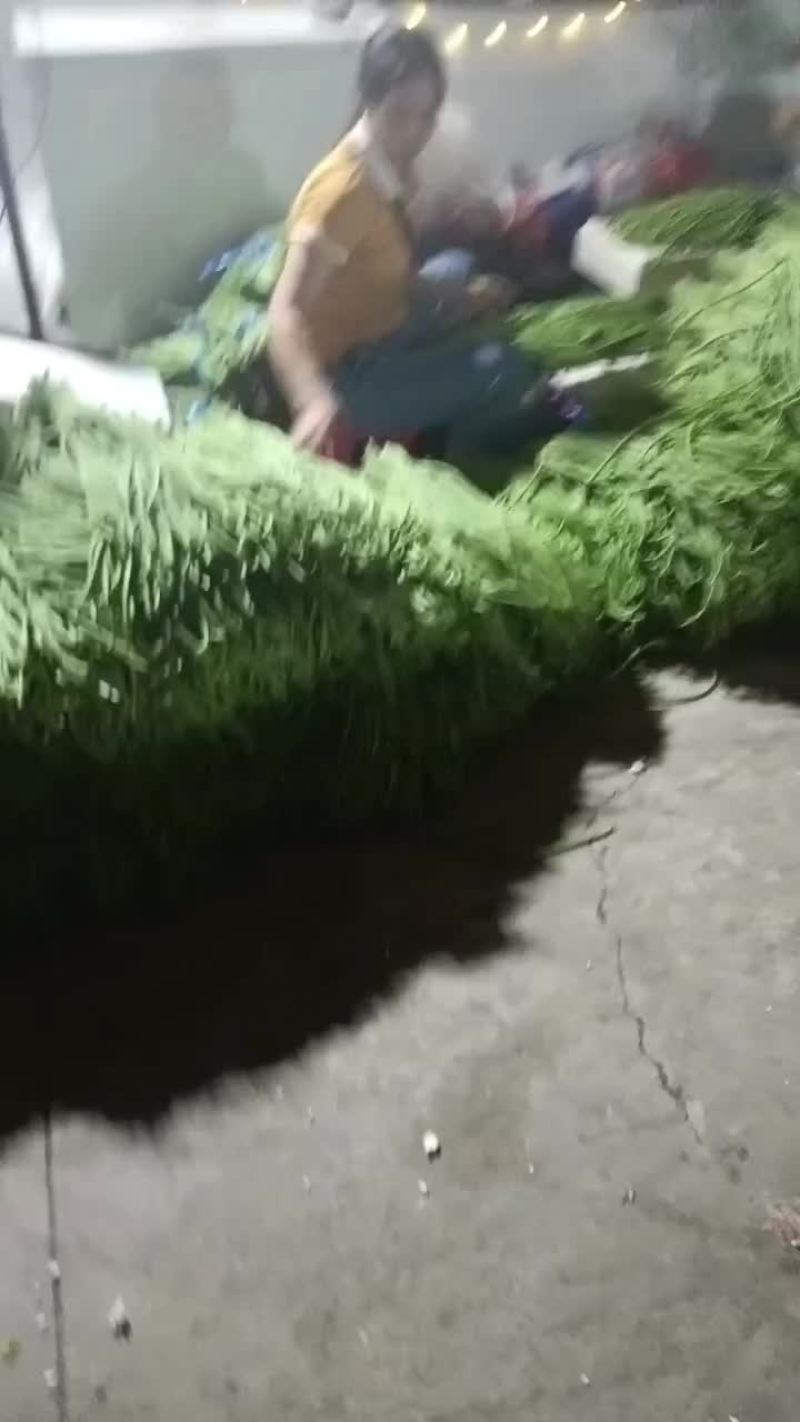 豆角