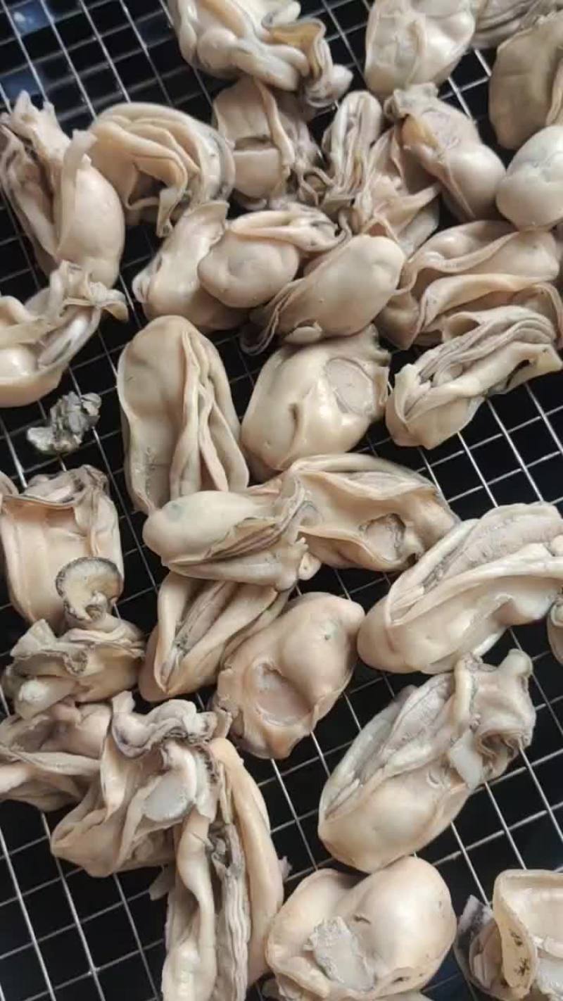 湛江本地生蚝干