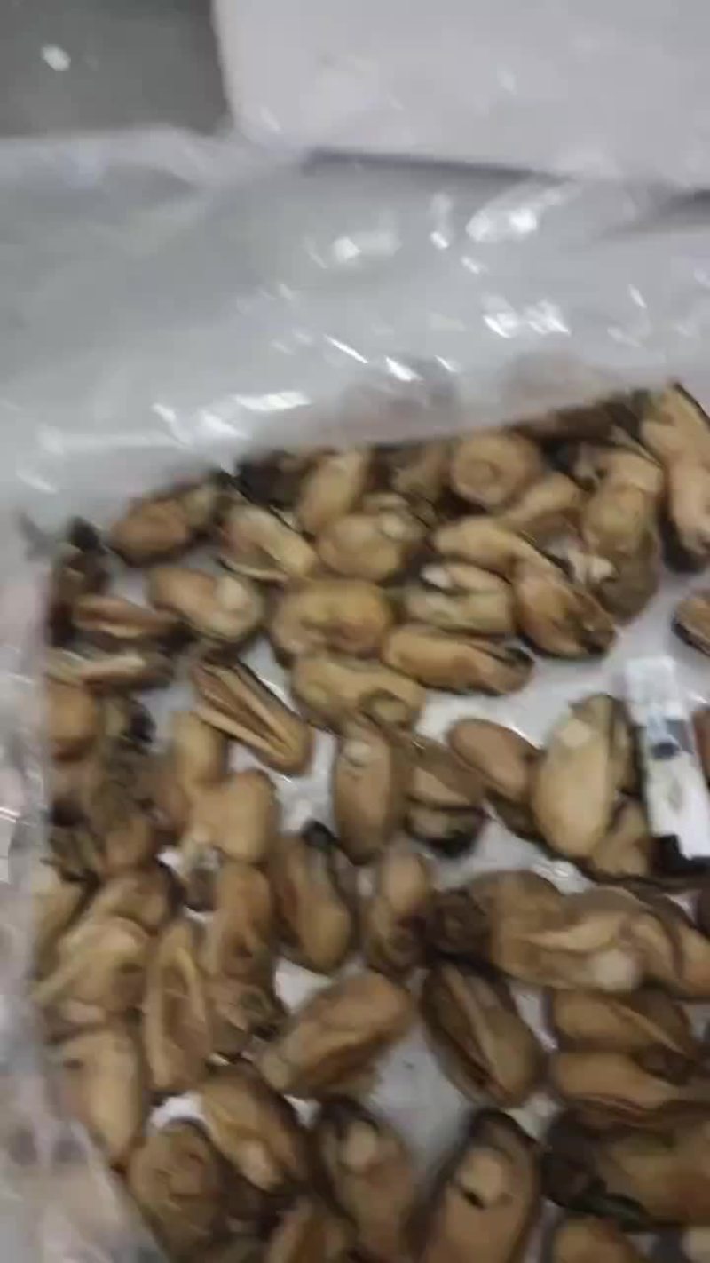 湛江本地生蚝干
