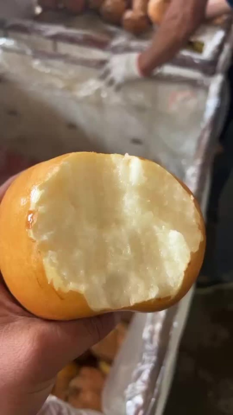 出售大新高梨