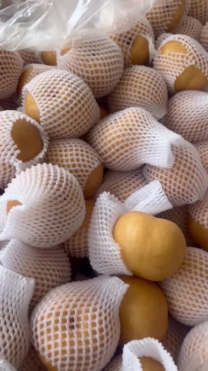 出售大新高梨