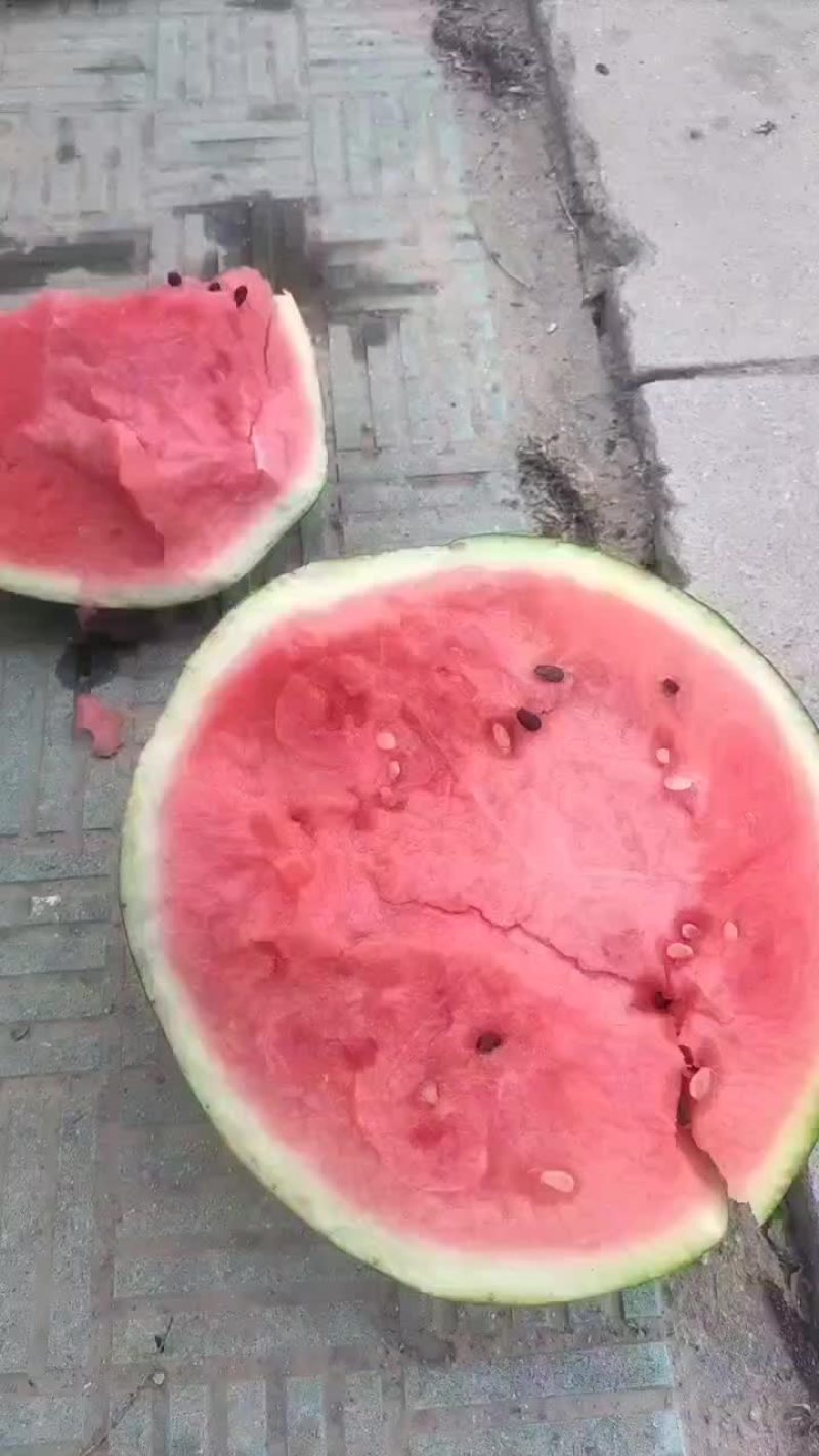 精品甜王