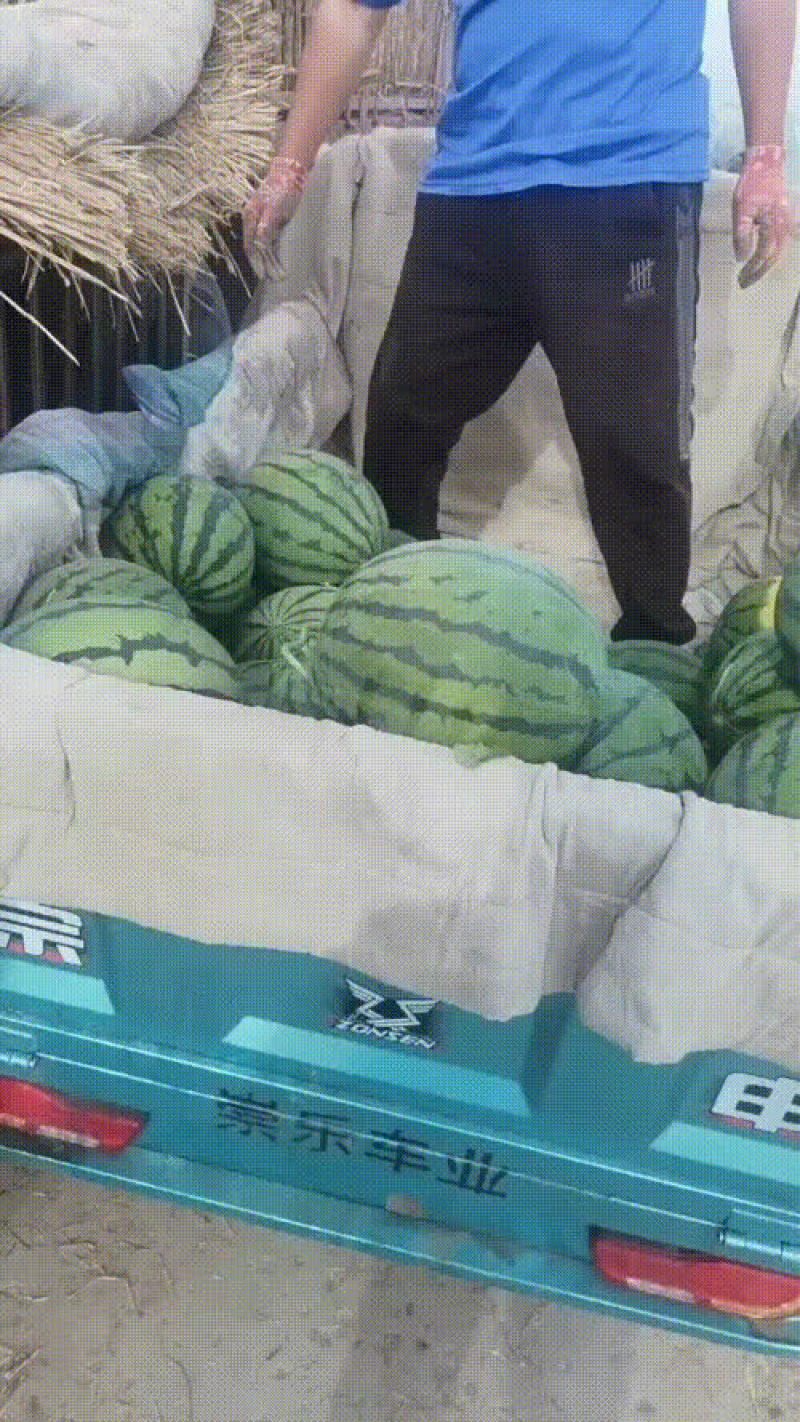 精品甜王
