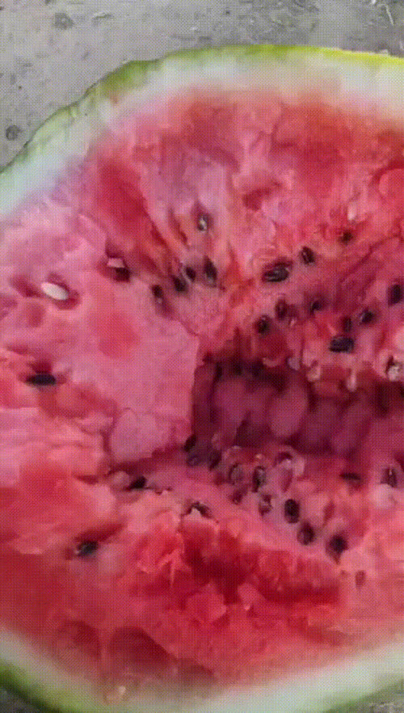 精品甜王