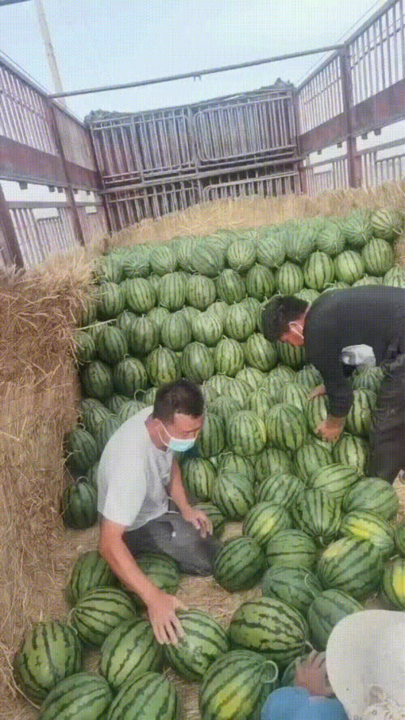 精品甜王
