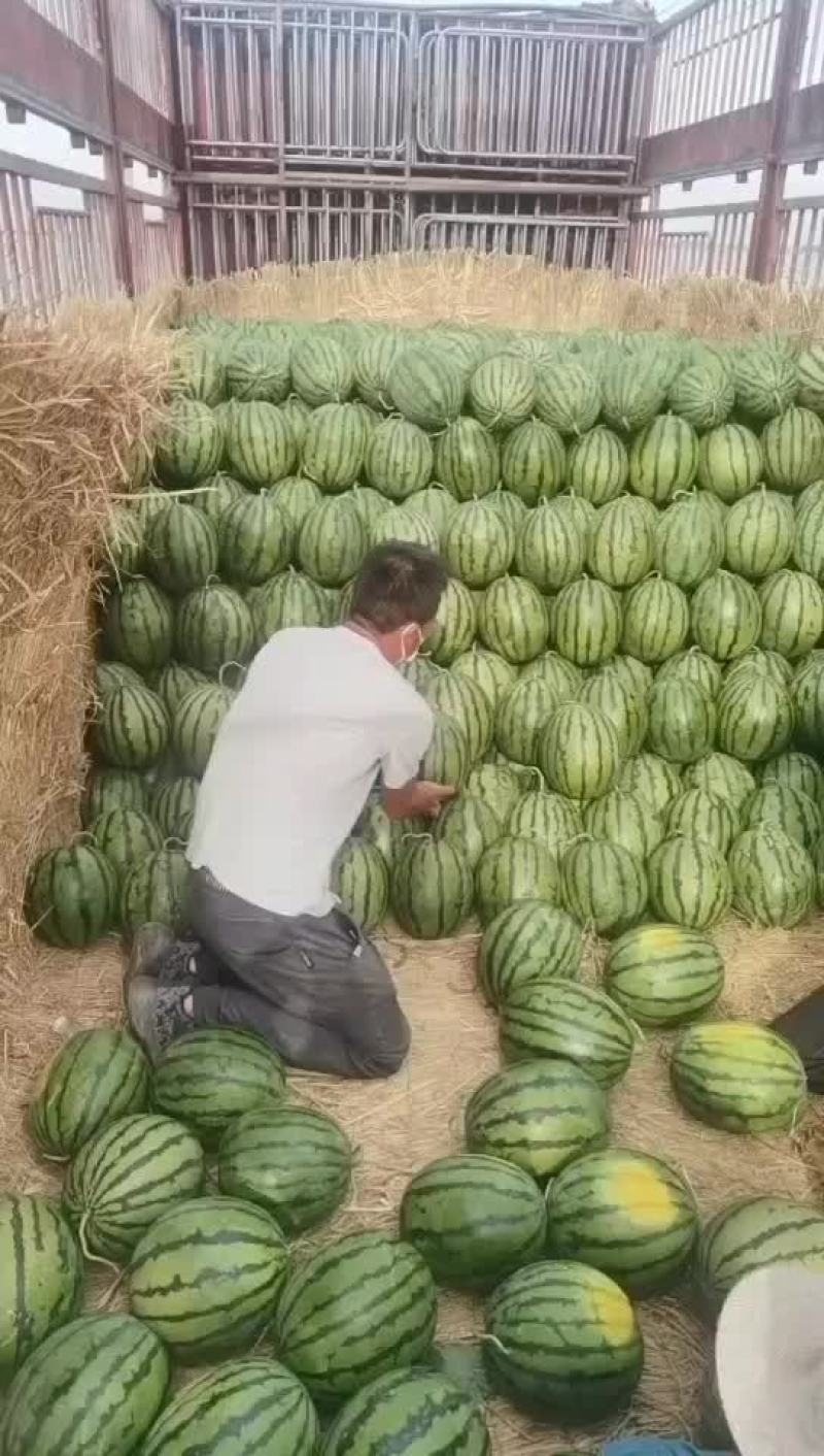 精品甜王