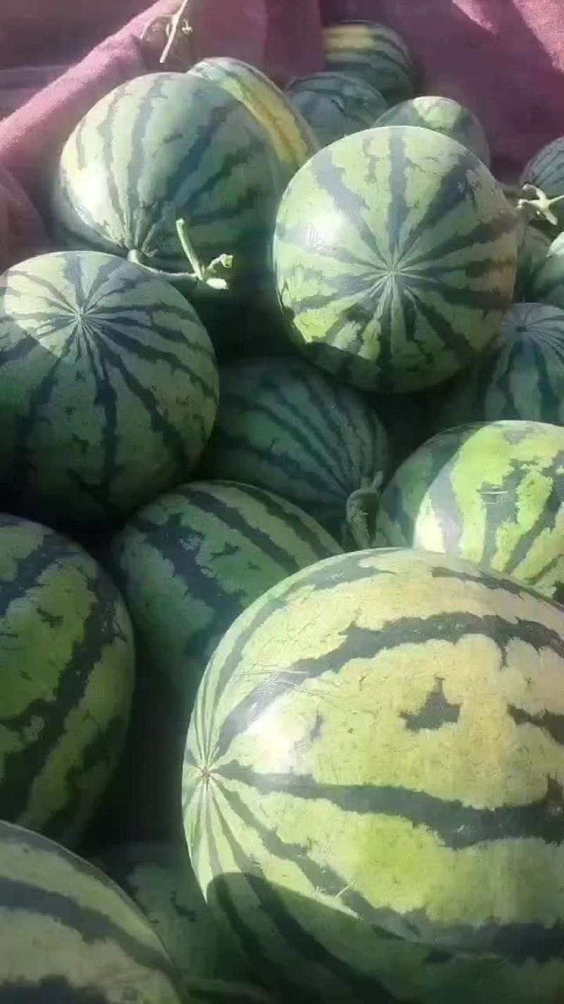 精品甜王