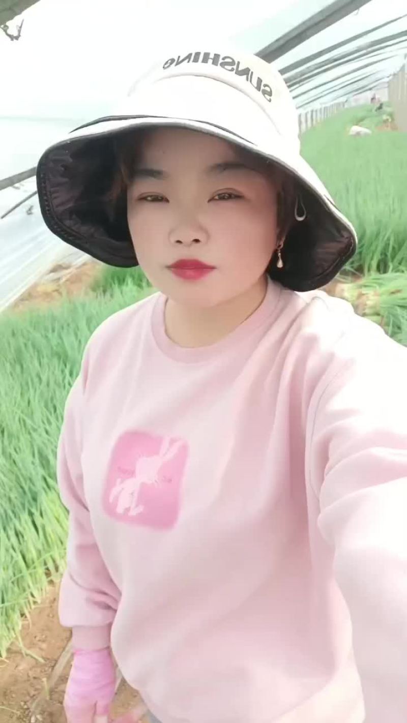 一代葱苗大量上市，