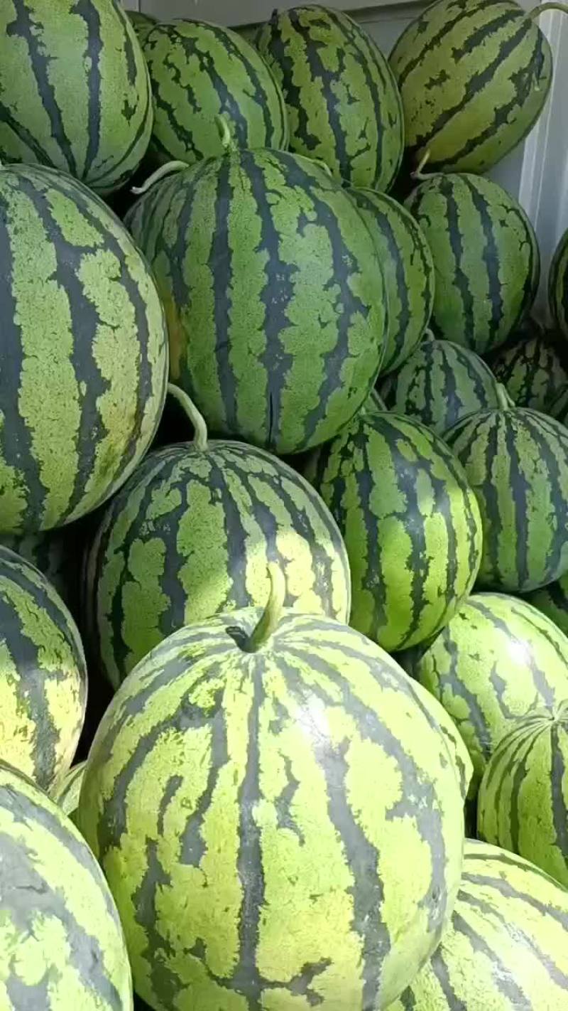 甜王西瓜