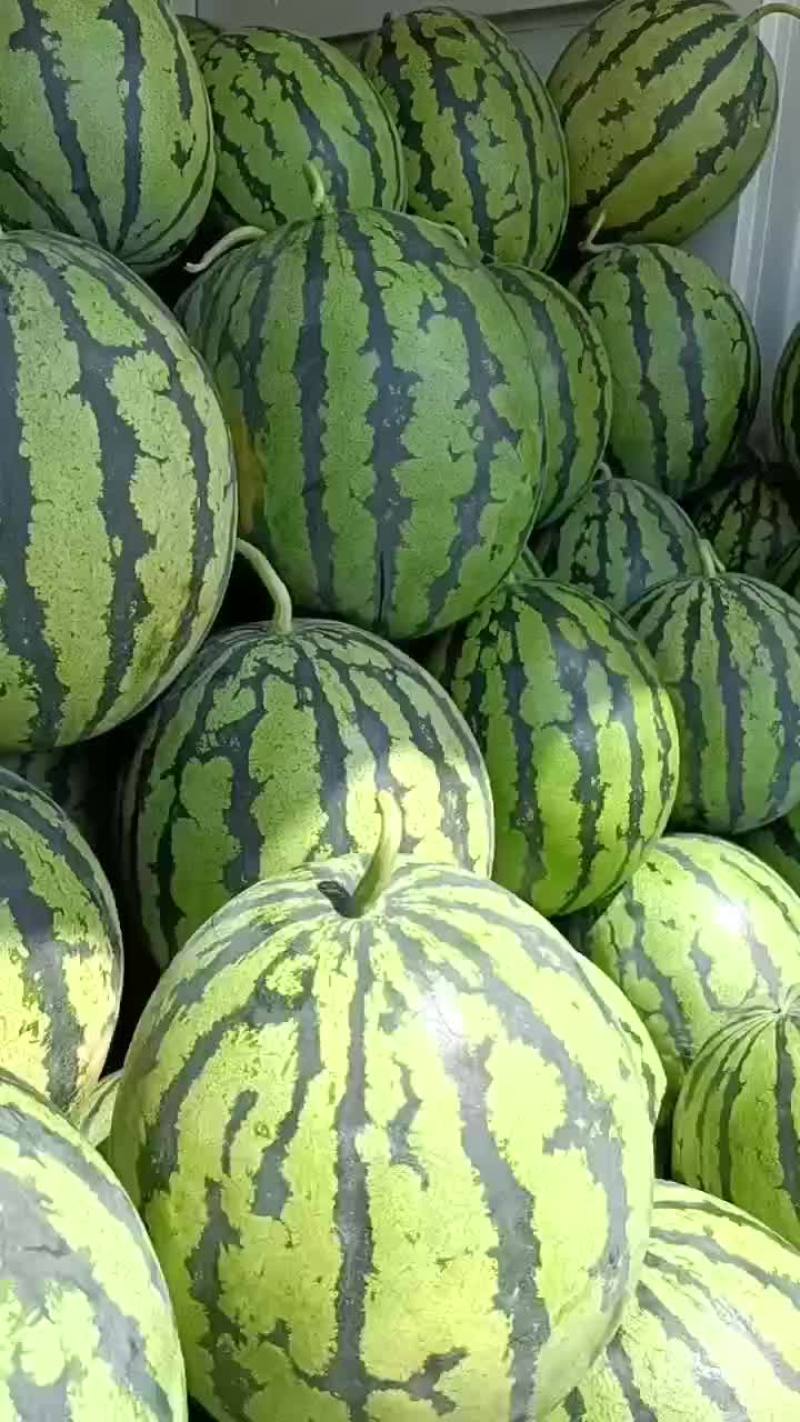 甜王西瓜