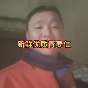 青麦仁