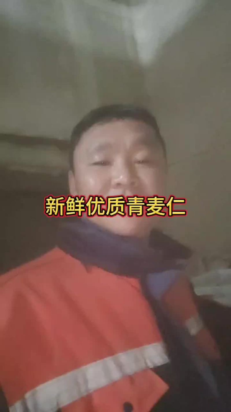 青麦仁