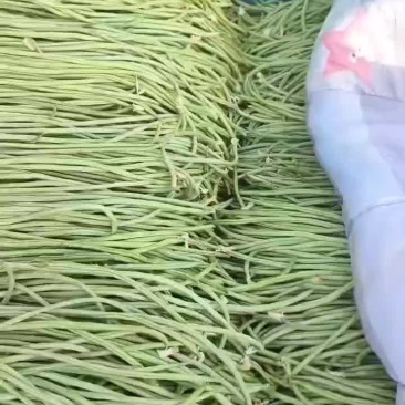 豆角